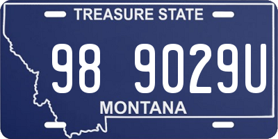 MT license plate 989029U