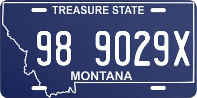 MT license plate 989029X