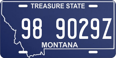 MT license plate 989029Z