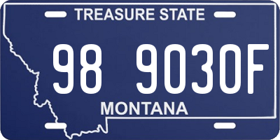 MT license plate 989030F