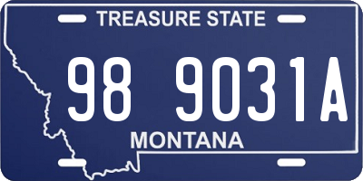 MT license plate 989031A