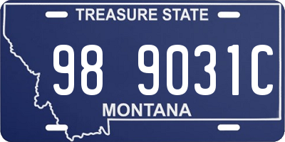 MT license plate 989031C