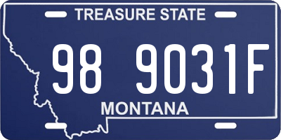 MT license plate 989031F