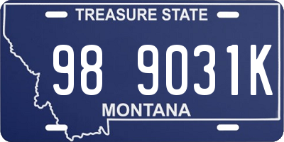 MT license plate 989031K