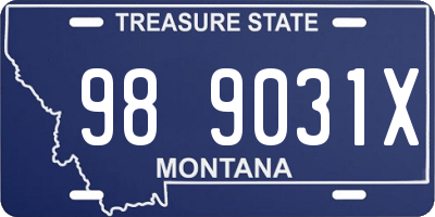 MT license plate 989031X