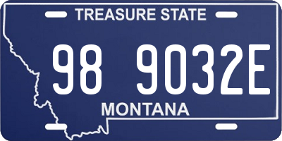 MT license plate 989032E
