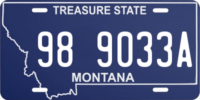 MT license plate 989033A