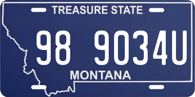 MT license plate 989034U