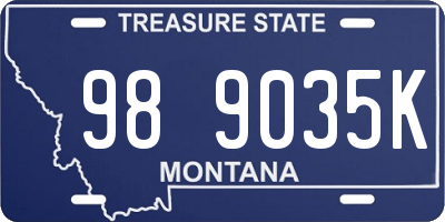 MT license plate 989035K