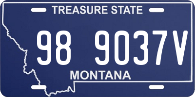 MT license plate 989037V