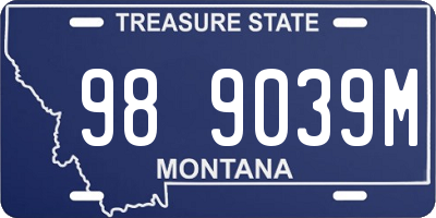 MT license plate 989039M