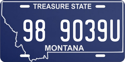 MT license plate 989039U
