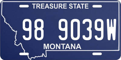 MT license plate 989039W
