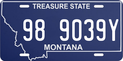 MT license plate 989039Y