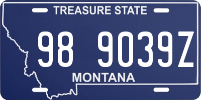 MT license plate 989039Z