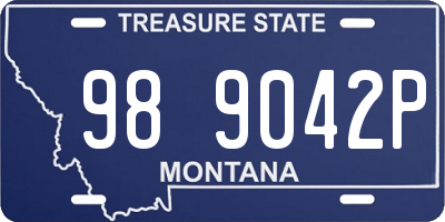 MT license plate 989042P