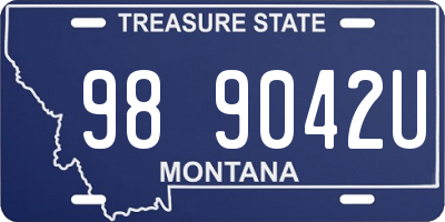 MT license plate 989042U