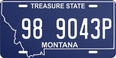 MT license plate 989043P