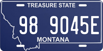 MT license plate 989045E