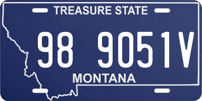 MT license plate 989051V