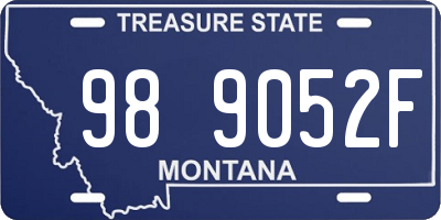 MT license plate 989052F