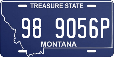 MT license plate 989056P