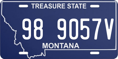 MT license plate 989057V