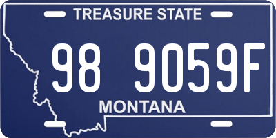 MT license plate 989059F