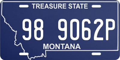 MT license plate 989062P