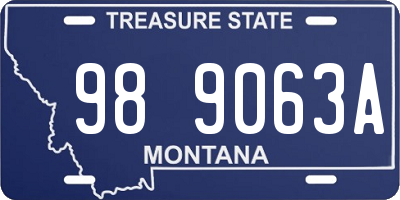 MT license plate 989063A