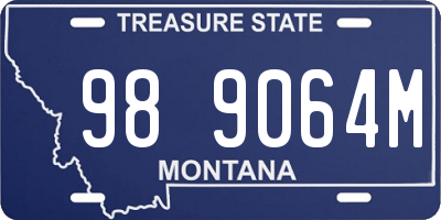 MT license plate 989064M
