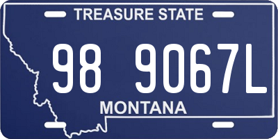 MT license plate 989067L