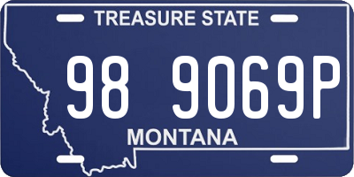 MT license plate 989069P