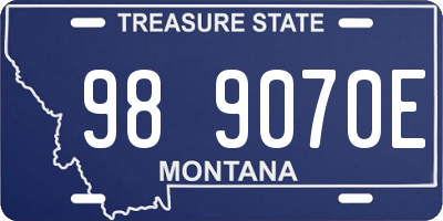 MT license plate 989070E