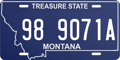 MT license plate 989071A