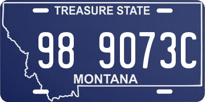 MT license plate 989073C