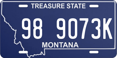 MT license plate 989073K
