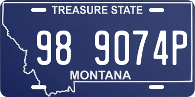 MT license plate 989074P