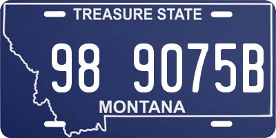 MT license plate 989075B