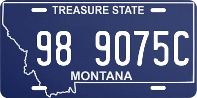 MT license plate 989075C