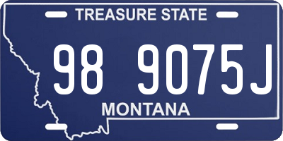 MT license plate 989075J
