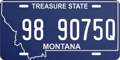 MT license plate 989075Q