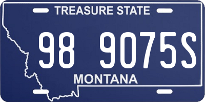 MT license plate 989075S