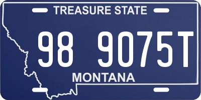 MT license plate 989075T