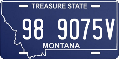 MT license plate 989075V