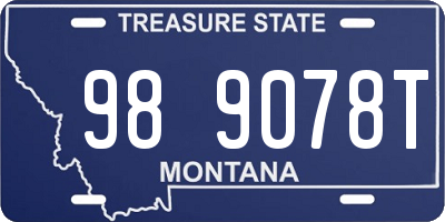 MT license plate 989078T