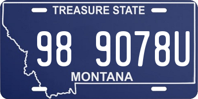 MT license plate 989078U