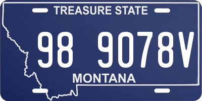 MT license plate 989078V