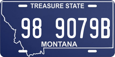 MT license plate 989079B
