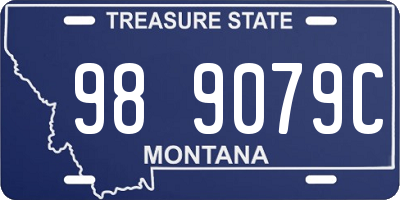MT license plate 989079C